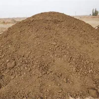 نیازمند کود گاوی