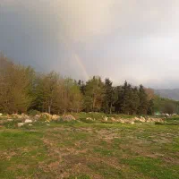 زمین فروشی نوده ملک