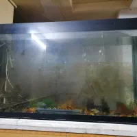 آکواریوم بزرگ ۱.۵ متری