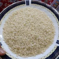 برنج کامفیروزی