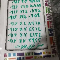 09166155882