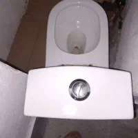 سرویس  فرهنگی