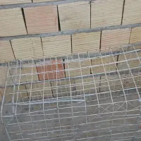 طور دام کفتر کبوتر