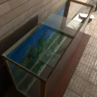 فروش آکواریوم
