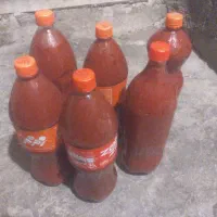 رب خونگی