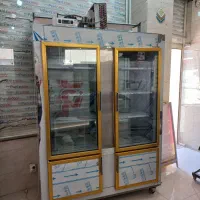 یخچال ایستاده دو در مرغی