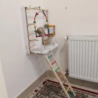 ساخت استند پرنده.نشیمنگاه پرنده.عروس هلندی