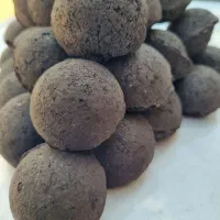 زغال خان
