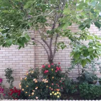 فروش  مغازه
