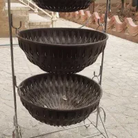 جای سیب زمینی پیاز