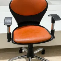 صندلی چرخ دار