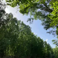 0902 709 7009