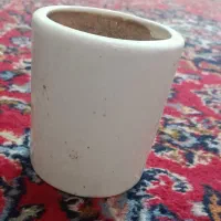 گلدان|گل و گیاه طبیعی|رفسنجان, |دیوار