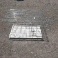 جفت کن کفتر