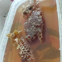 عسل