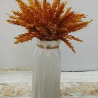 فروش گندم