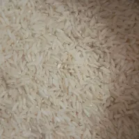 فروش برنج طارم هاشمی