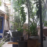 شیشه سکوریت دست دوم