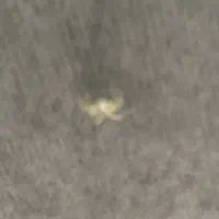 09127172927