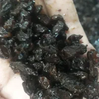 مویز،کشمش