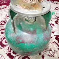 پکنیک سالم