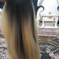 کلاگیس