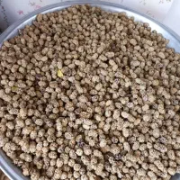 توت خشک خونگی و خوشمزه رسید