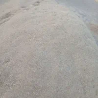 کاه نخود سفید