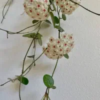 فراغت