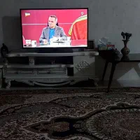 تلویزیون اسنوا