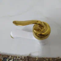 شیر روشوی