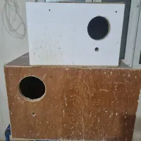لونه آشیانه جاتخمی مرغ عشق عروس کوتوله طوطی
