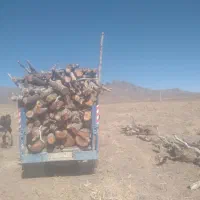 خریدار چوب بالاترین قیمت