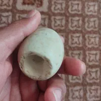 مهره کلکسیونی