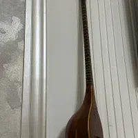 سه تار حرفه ای و کلکسیونی
