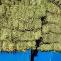 خرید فروش یونجه درجه1 کاه، جو پرس پخل