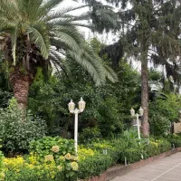 مشارکت در ساخت ساحلی