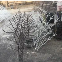 مرکز بزرگ فروش شاخ گوزنی ارتفاع ۹۰