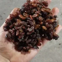 کشمش ابگیری قیمت مناسب عمده و خرده
