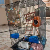 قفس بزرگ با تمام وسایل