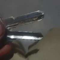 پیدا شده
