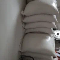 برنج فجر