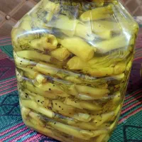 ترشی بیلهر