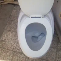 توالت فرنگی