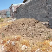 زور گوسفندی