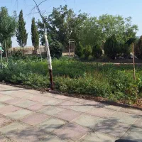 استخدام منشی