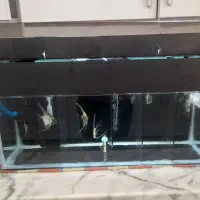 وسایل آکواریم