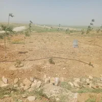 زمین باغ شهری هفت برم باسند رسمی (خانه زنیان)