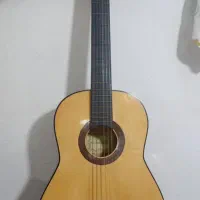 گیتار با پایه و کیف