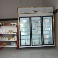 دوعدد یخچال سه در و فریزر بستنی